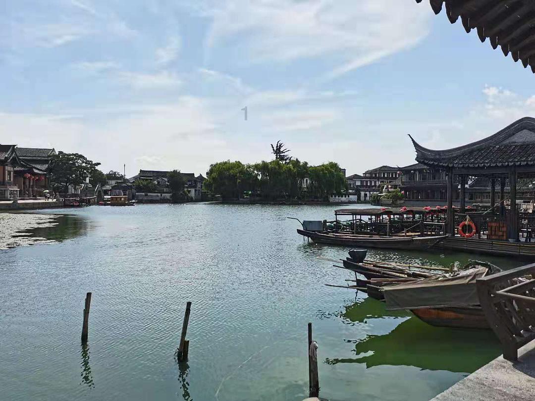 玉兰花的花语是什么？游戏画面